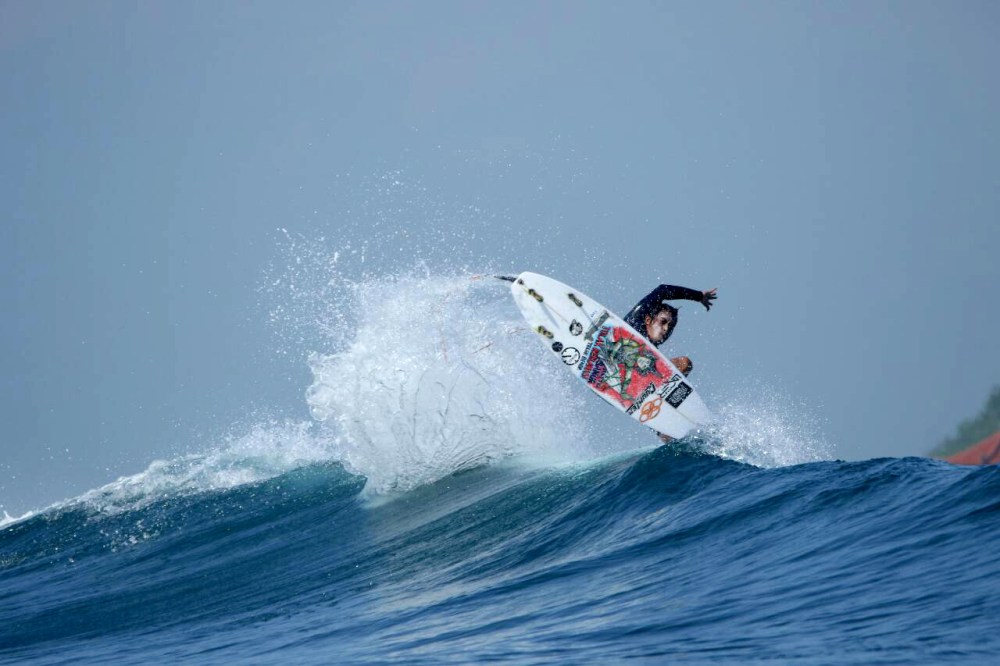 surfboard painting 2